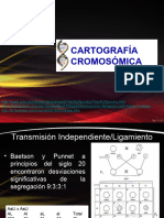 GENETICA ANIMAL-clase 7