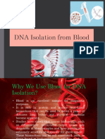 DNA Isolation From Blood