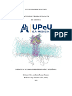 Bioquímica Semana 3