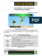 Projeto - Modelagem (PLANTAÇÃO DE FEIJÃO)