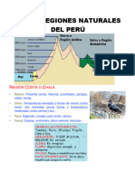 Ocho Regiones Naturales Del Perú PDF