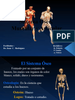 Seminario Oseo, Articular y Muscular.