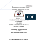 HOBMITR33 - Barreras para El Aprendizaje y La Participación Caso - Cielo