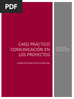 Caso Practico Comunicacion de Proyectos