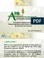 APIA Programa RSE en El Sector Agronegocios