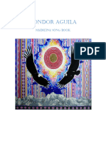 Condor Aguila Songbook 922