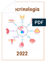 Resumen Endocrino