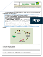 Cadeia Alimentar 4 Ano