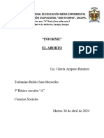 Informe Mercedes.1