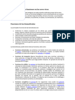 Biomoléculas y Sus Funciones en Los Seres Vivos