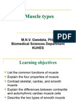 Muscle Types