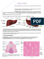 Gen Cyto Unit 6 Liver