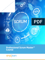 Professional Scrum Master