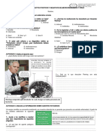 Guia Formativa Efectos Microorganismos Positivo y Negativo 7ab 2024