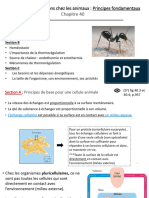 Relation Structures Fonctions Principes Fondamentaux