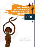 Feminismo Descoloniais e Outros Escritos