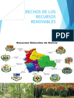 Derechos de Los Recursos Renovables