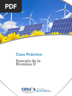 Caso Practico 14 Energia de La Biomasa Eduardo Hinojosa