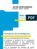 Wisc 4 PDF