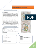 Dinámica Estomática