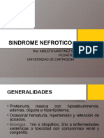 Sindrome Nefrotico 2024