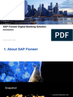 SAP Fioneer FDB - Short Introduction