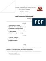 Tutelas Jurisdicionais Diferenciadas - Gabriel Silveira Ramos