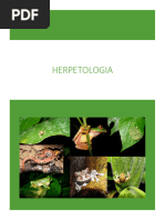 HERPETOLOGÍA