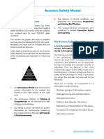 Paper 3 Acumen Safety Model