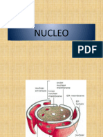 NUCLEO