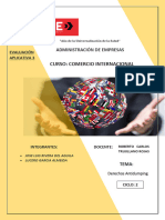 Evaluación Aplicativa N°3 - Importancia de La Importación CPEX.1.3