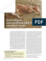 Coccidiosis Una Enfermedad Con Muchas Caras