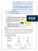 Les-Lois-Statistiques-Se - La Transmission-Des-Caractères-Héréditaires-Chez-Les-Diploïdes-9-13