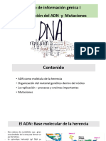 CM5. Replicación - Mutaciones