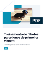 Treinamento de Filhotes para Donos de Primeira Viagem