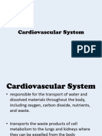 Topic 10. Cardiovascular System