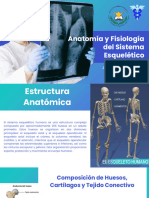 FISIOLOGIA