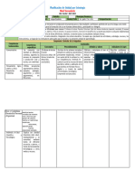 Planificación Diaria Informe