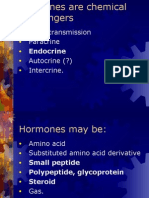 NM 24 Endohypothapituit 2007