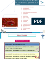 Plasmodium SP