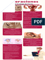 Infografía Medicina Embriología Fotográfico Granate