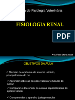 Renal Parte1 1