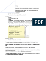 Nematodes (Roundworms)