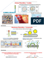 Conferência Sobre Membrana Plasmática (Medicina)