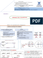 Reproduction Sexuée Et Asexuée - Séance 4 Champignons 2024 PDF