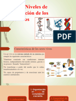 Tema 7 Niveles de Organización de Los Seres Vivos