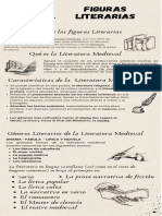 Figuras Literarias Medieval-Literatura de Oro-Realismo y Romantisismo