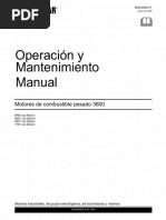 Manual de Operacion Motor Cat 3600