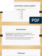 Petroleum System Analysis