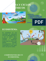 Expo Ecosistema